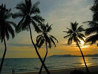 海南字母圈女s三亚女m绳艺kb海口k9三沙sp 海南字母圈女s三亚女m绳艺kb海口k9三沙sp