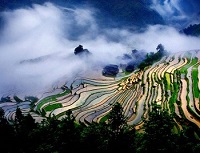 贵州字母圈女s贵阳女m绳艺kb遵义k9六盘水sp 贵州字母圈女s贵阳女m绳艺kb遵义k9六盘水sp